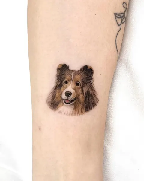 Animal