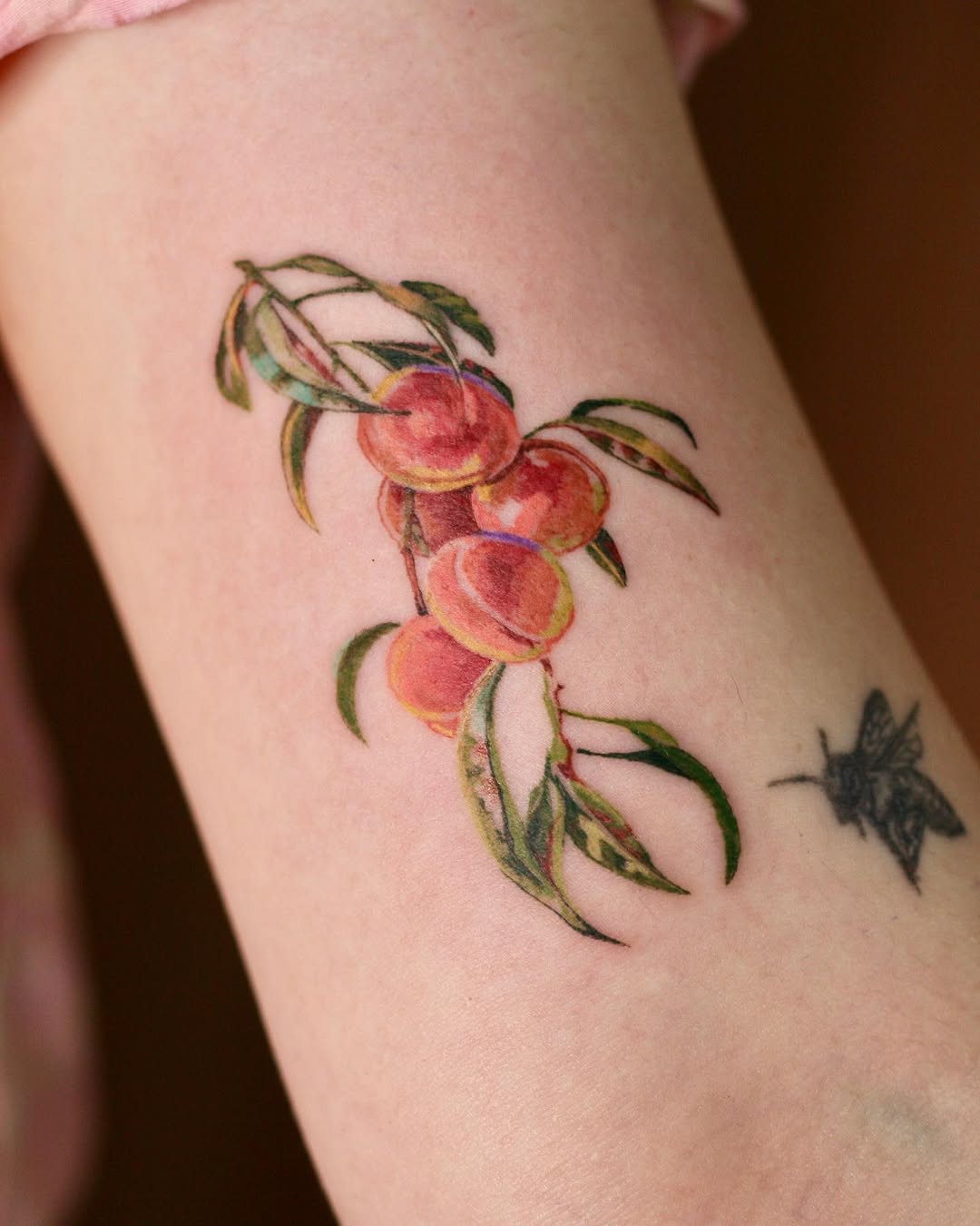 Flower, 과일, 사과, 체리