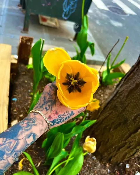 Flower
