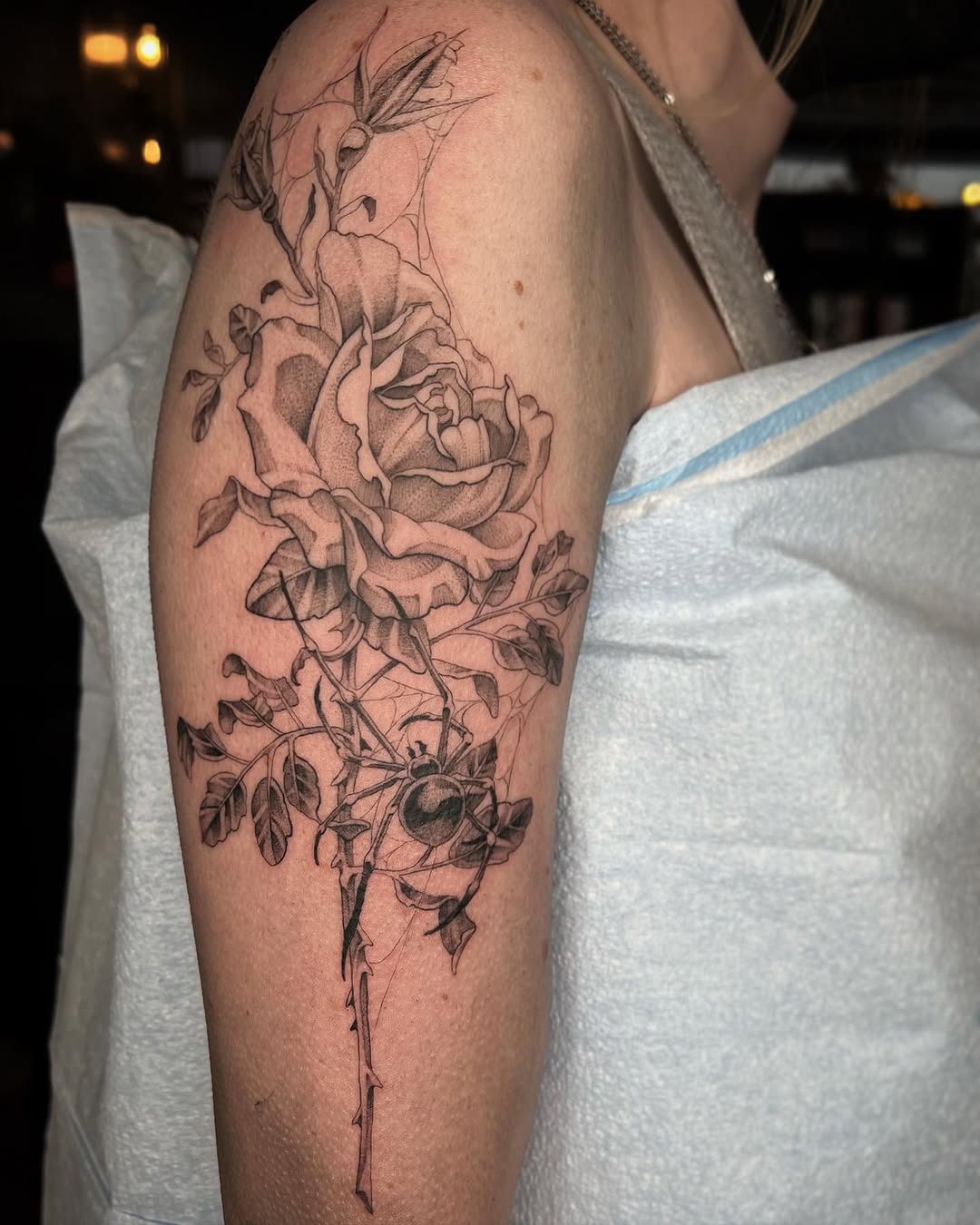 Flower, Rose