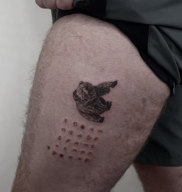 Animal, 곰