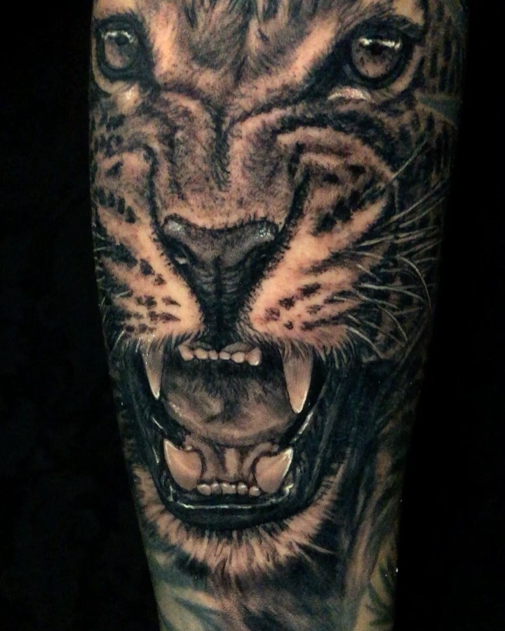 Tiger