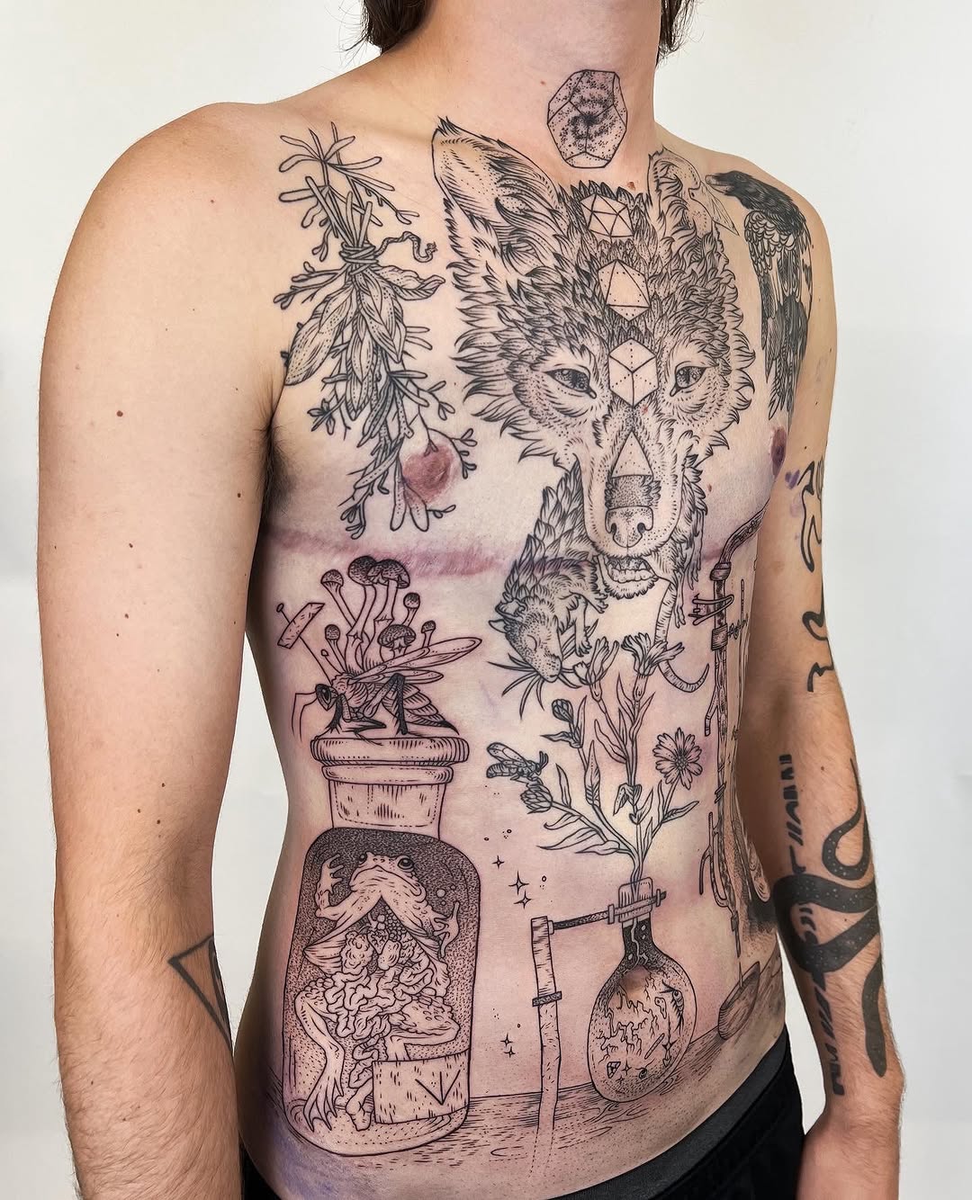 freeorgy