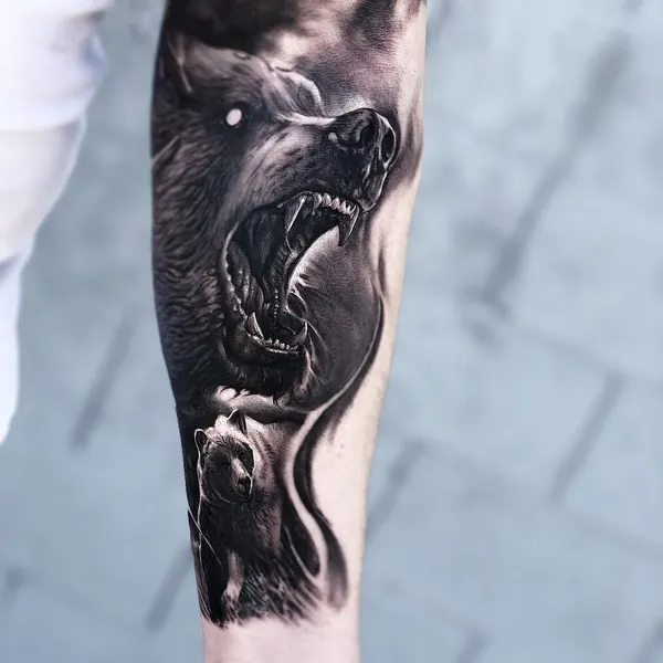 Animal
