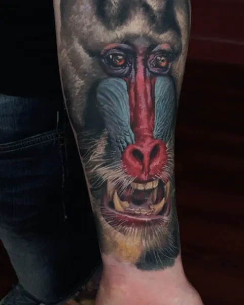 Tiger, Animal