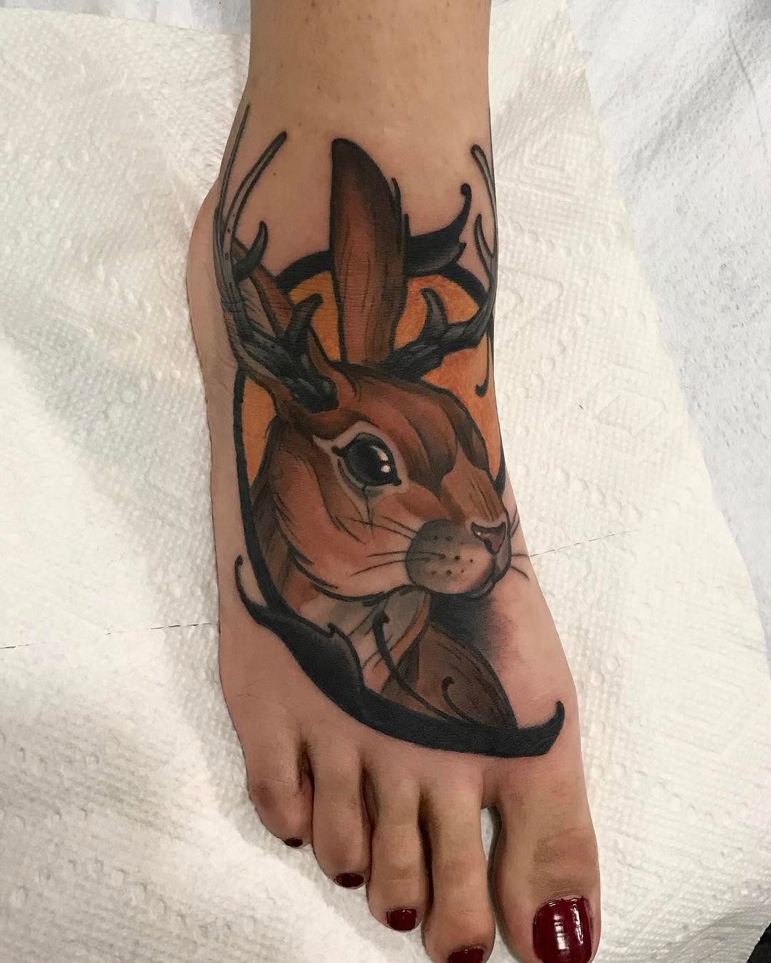 Animal