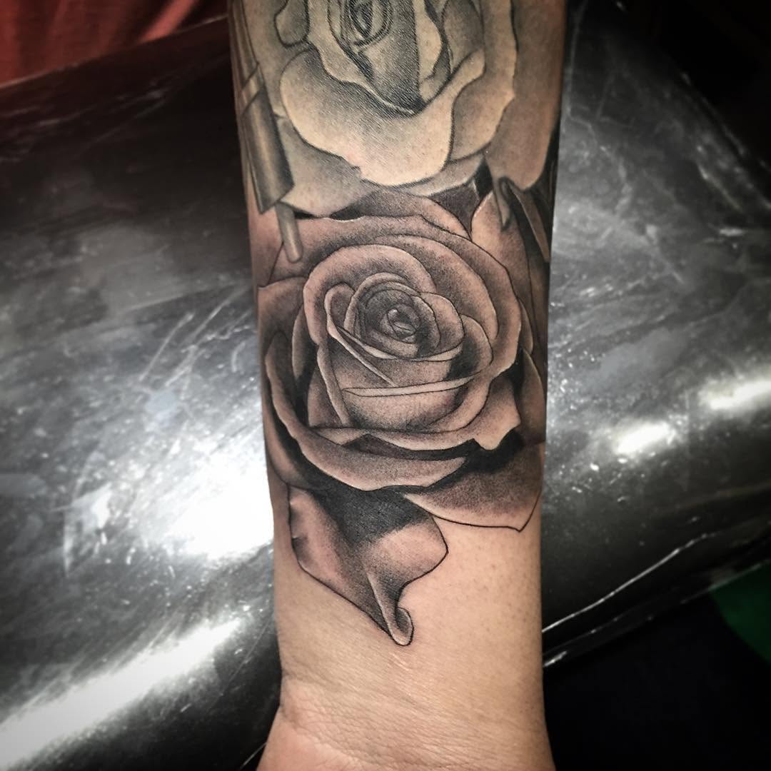 Flower, Rose