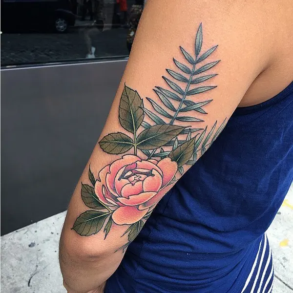 Flower, Rose, Nature