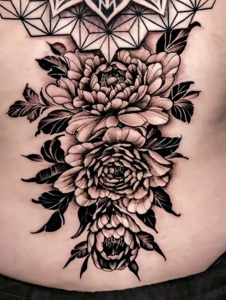 Flower, Rose, Nature