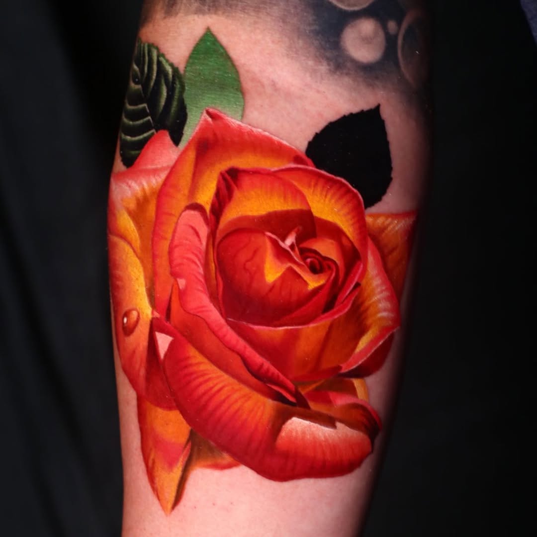 Flower, Rose