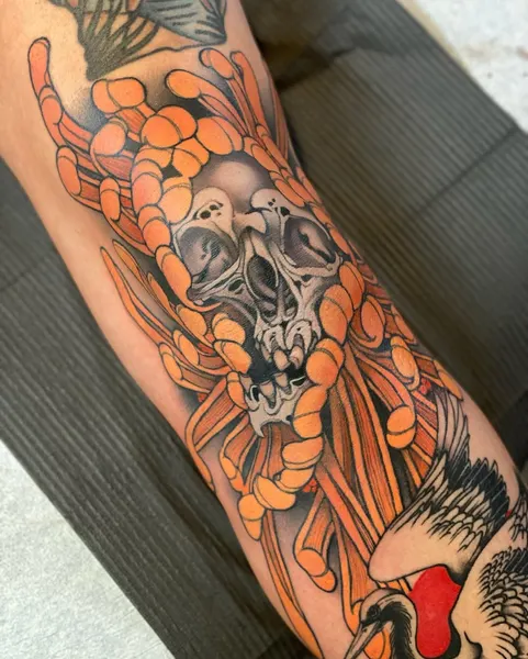 sacred_crow