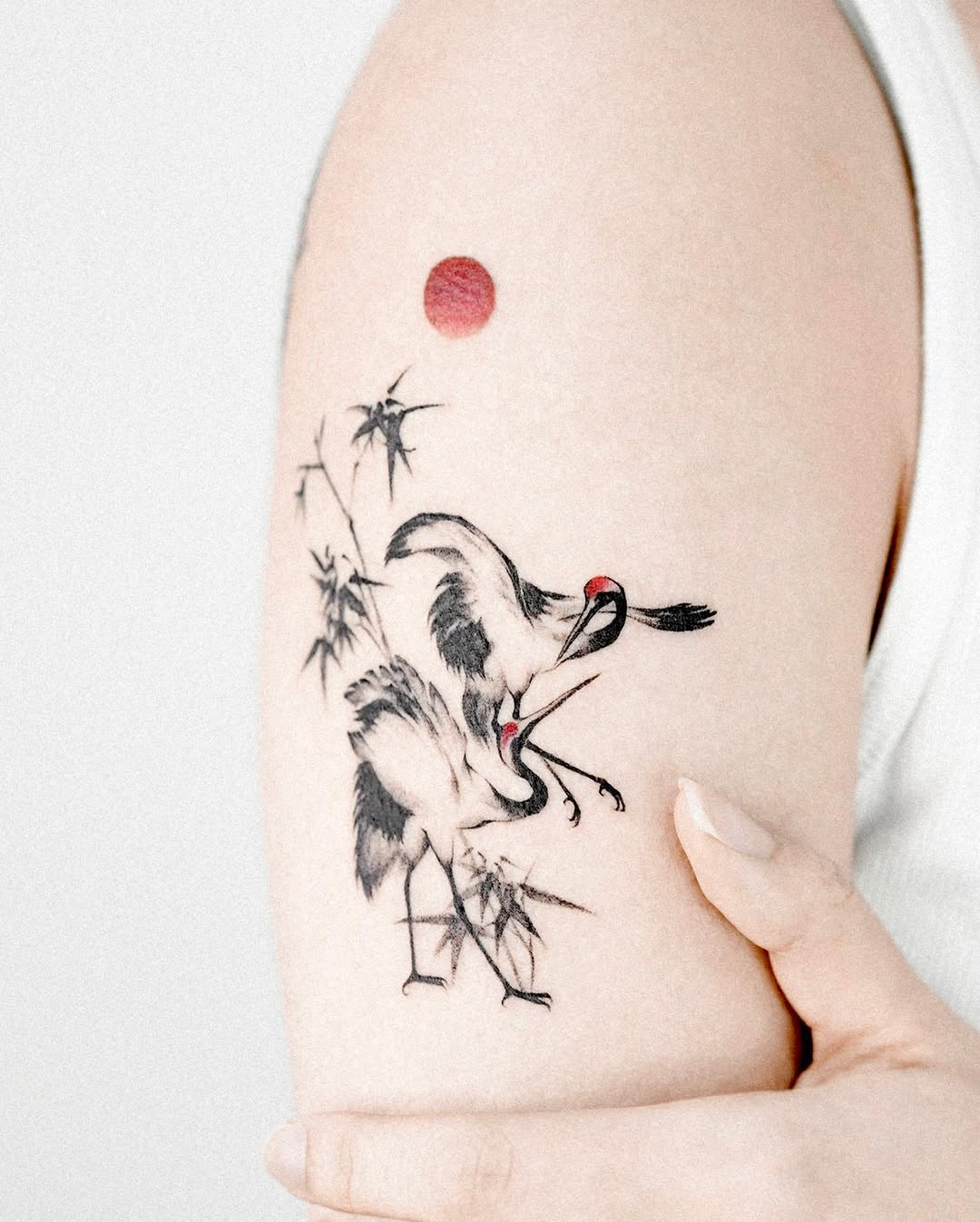 vanzotattoo