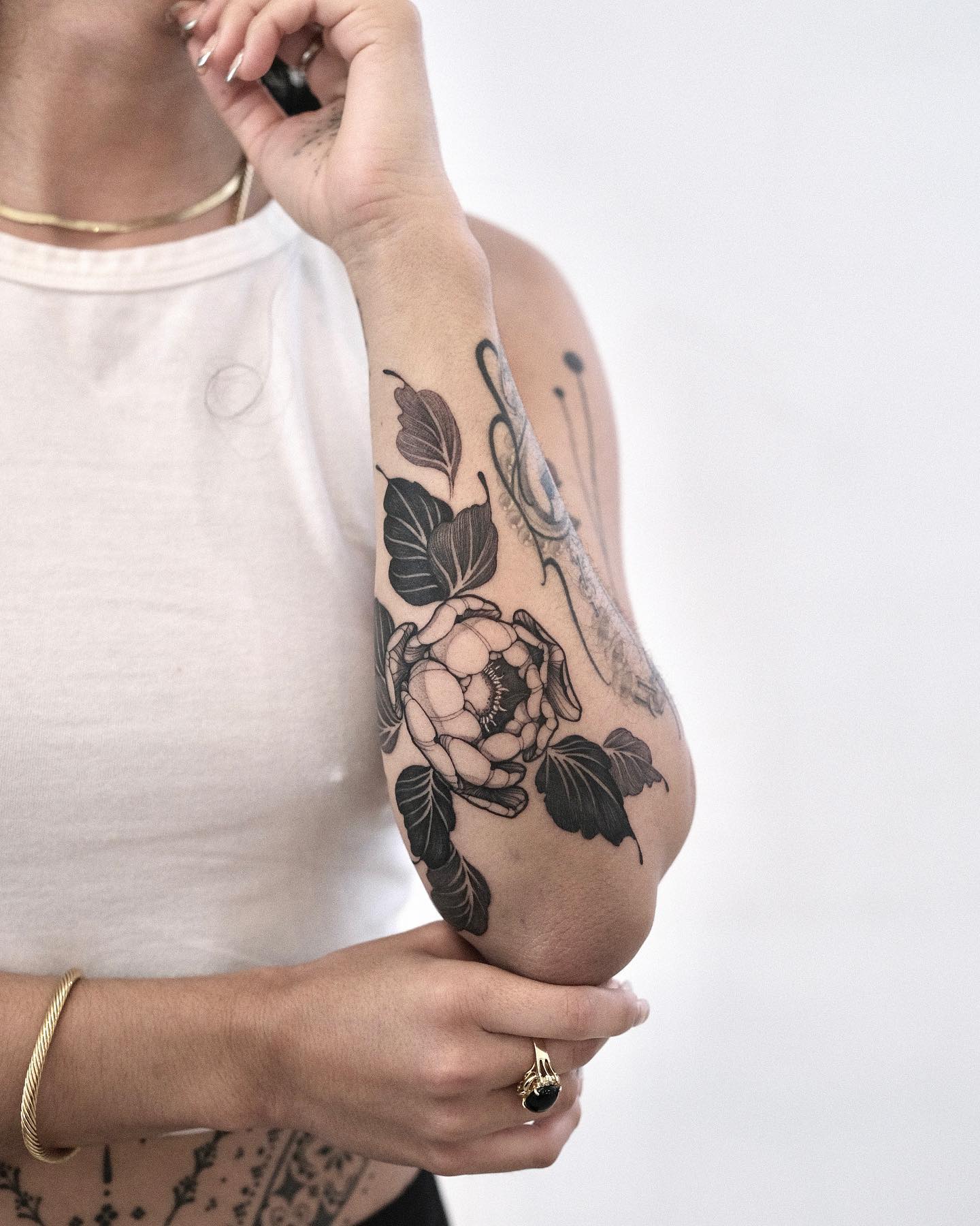 Flower, Rose