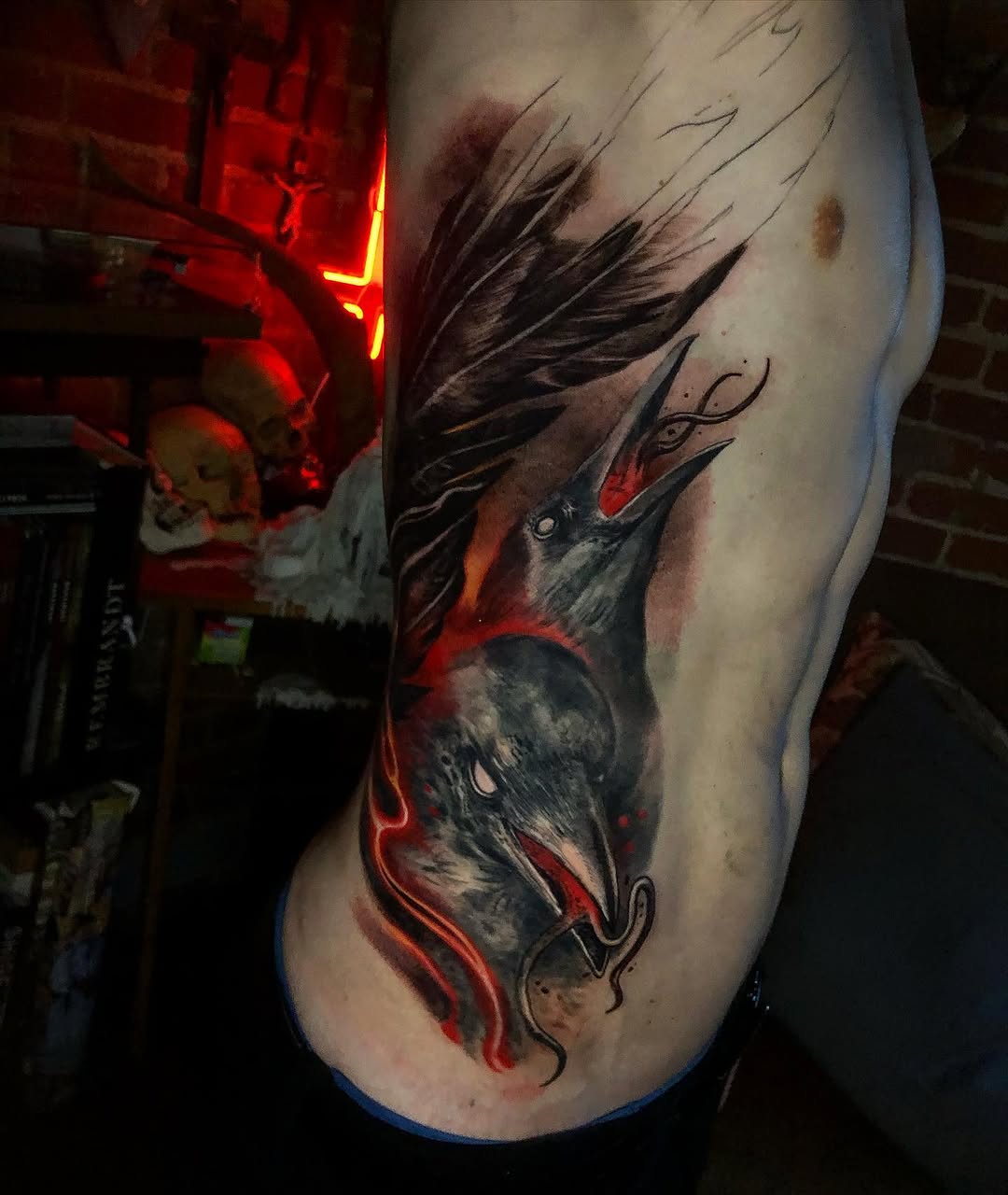 Animal