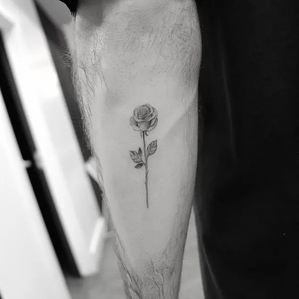 Flower, Rose