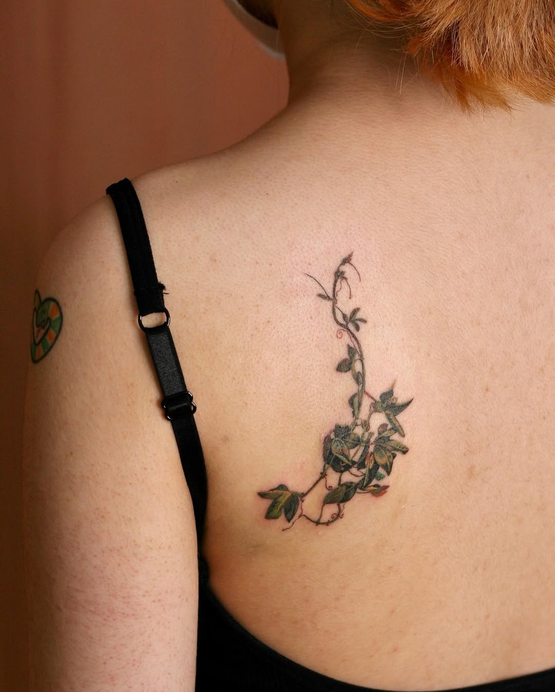 Flower, Nature, Rose
