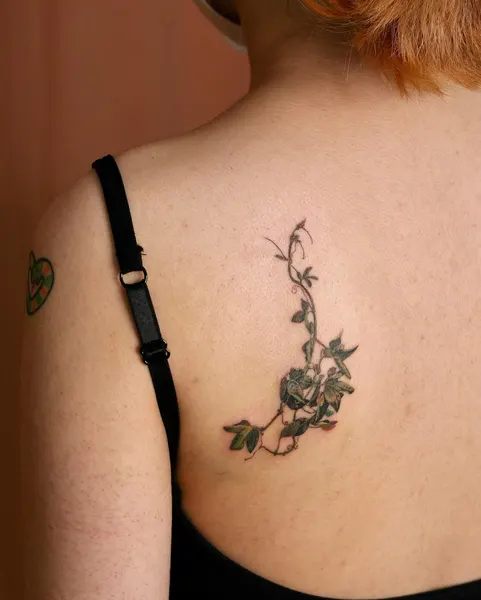 Flower, Nature, Rose