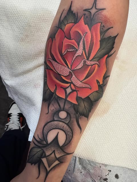 Flower, Rose