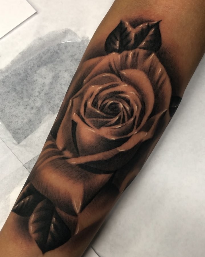 Flower, Rose