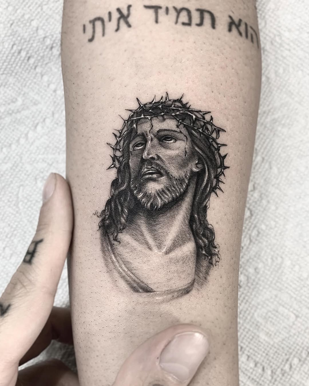 romeolacoste