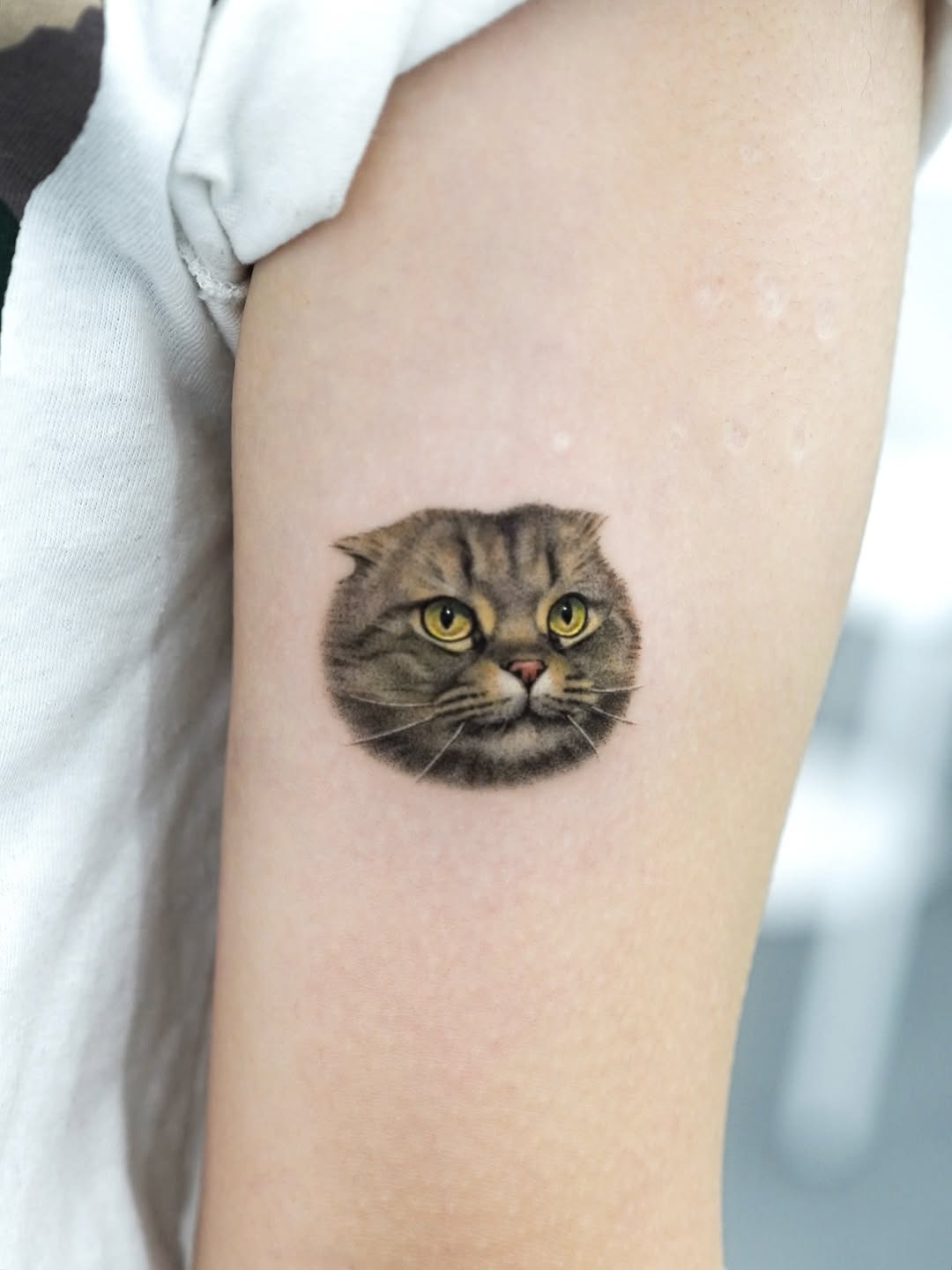 dorok.tattoo