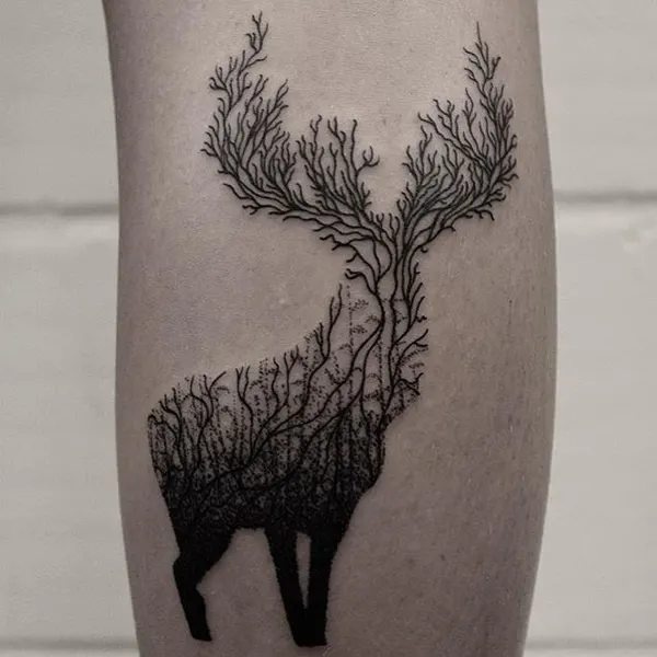 풀, 사슴, 숲, Animal, Nature, 소나무, 큰 타투