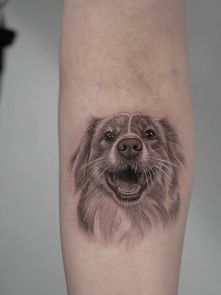 Animal, 강아지