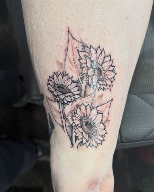 Flower, 해바라기, 데이지