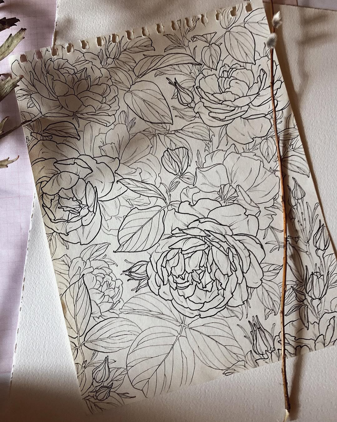 Flower, Rose