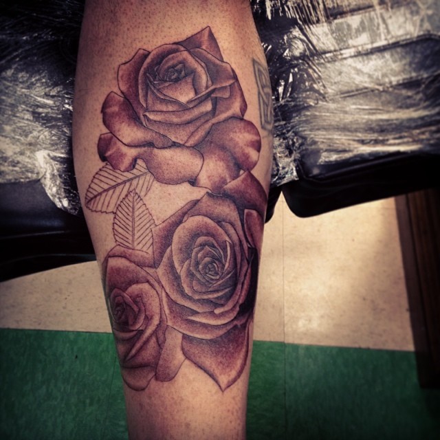 Flower, Rose