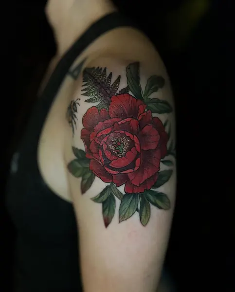 Flower, Rose, Nature