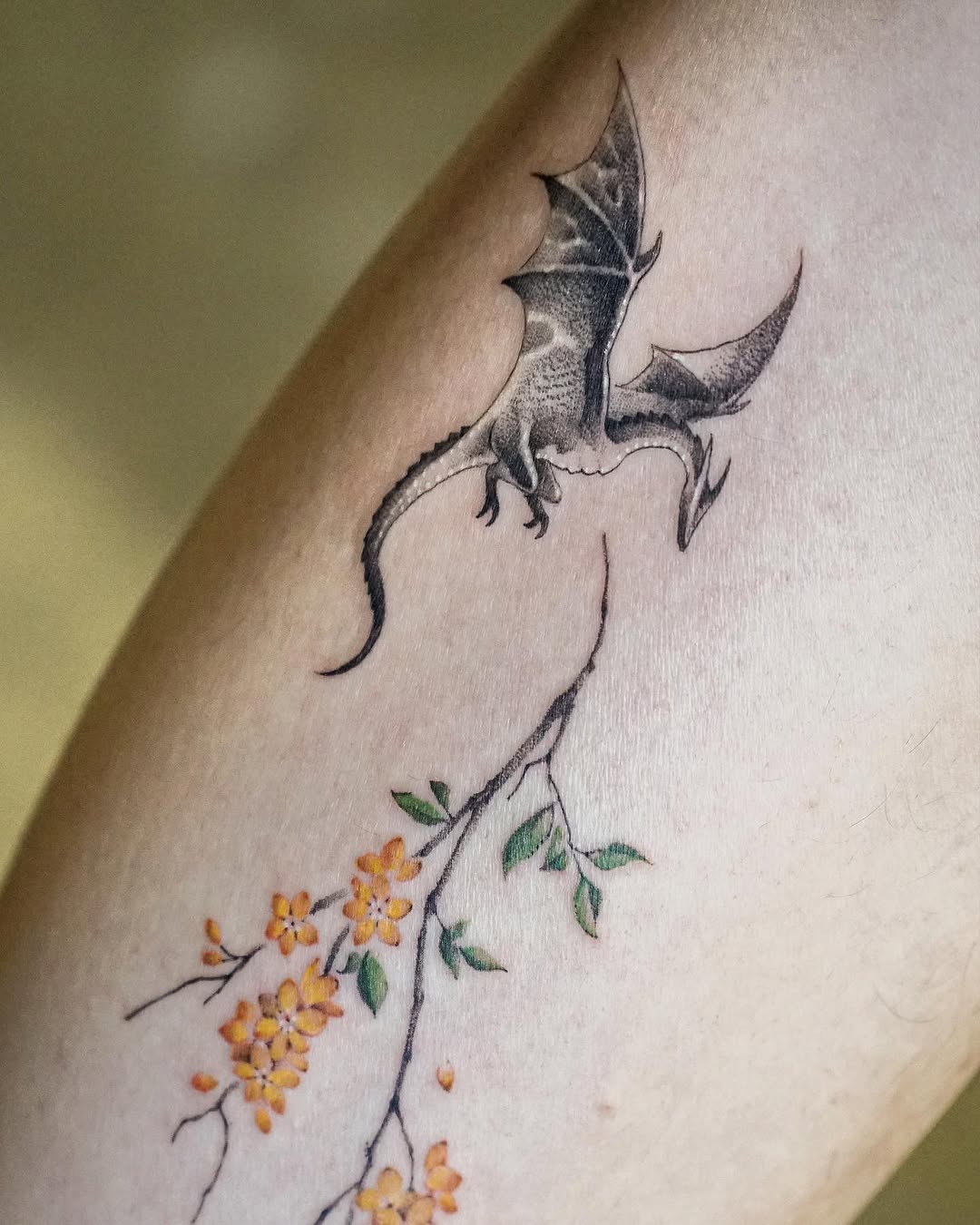 Dragon