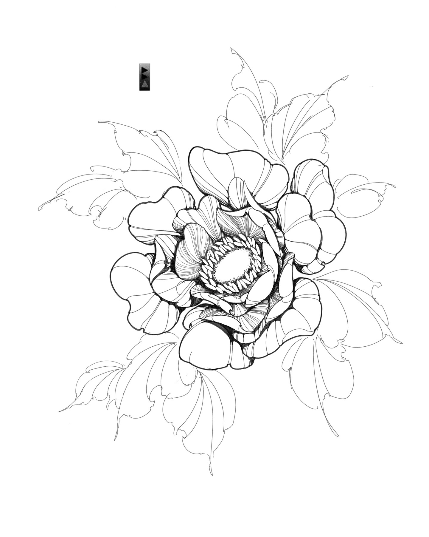 Flower, Rose