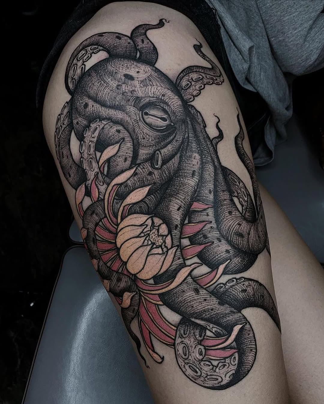 Animal