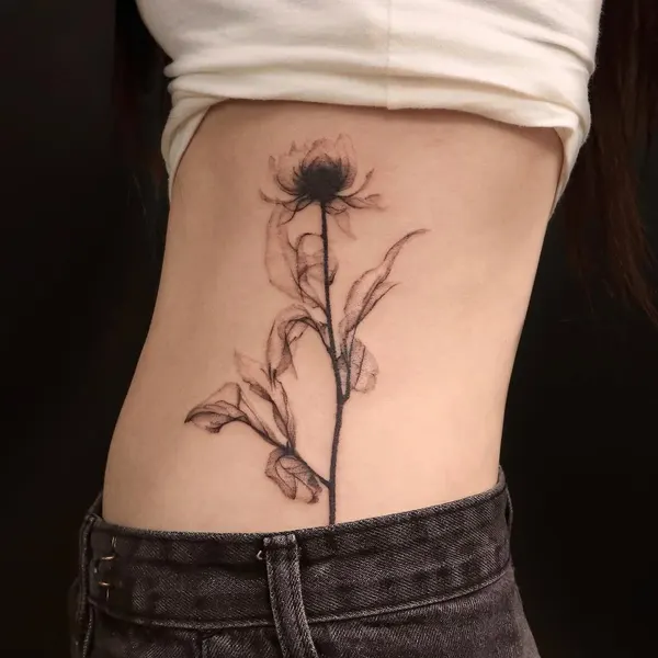 뿌리, Flower, Rose, 나뭇가지