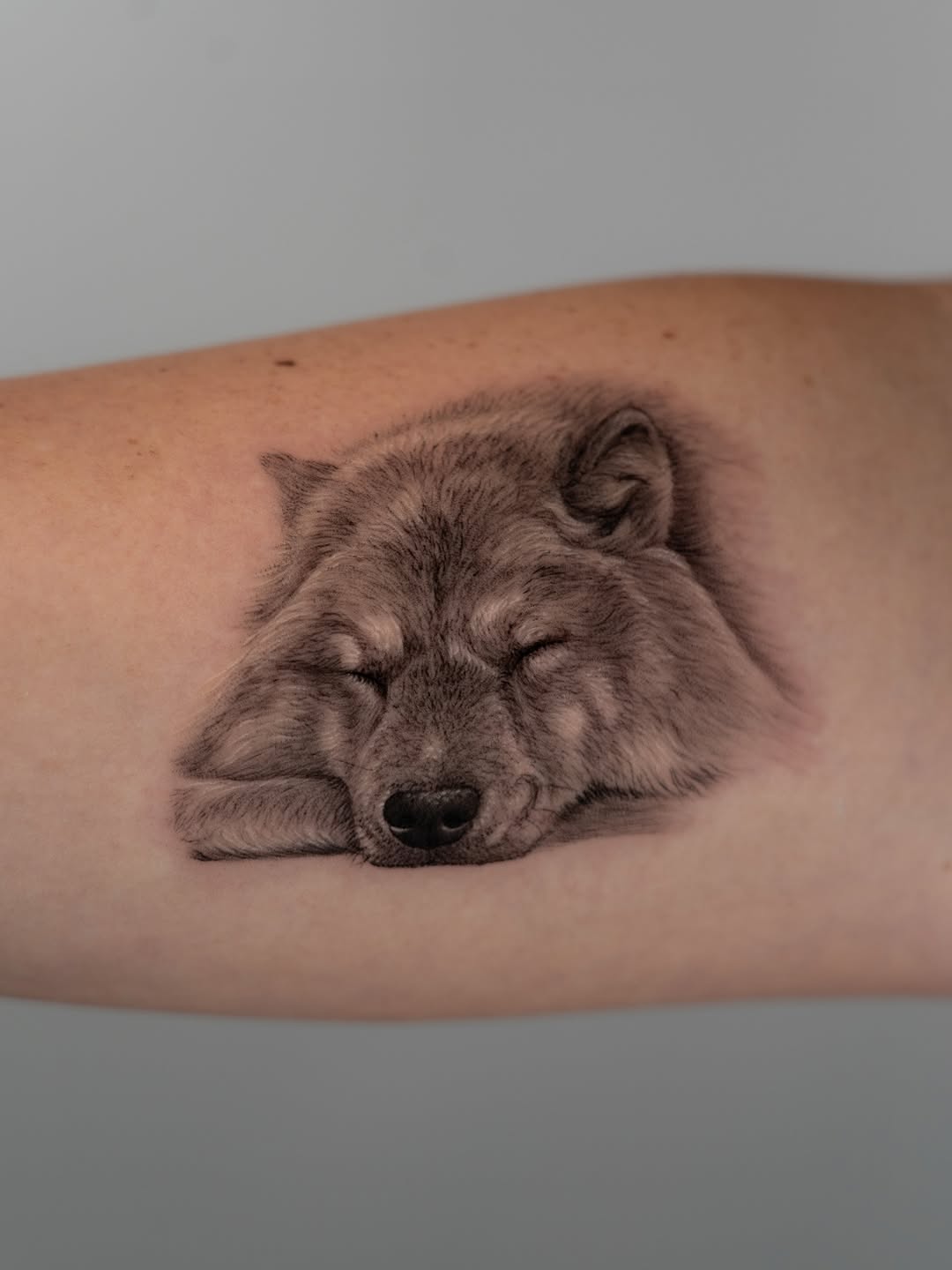 lewis.tattoo
