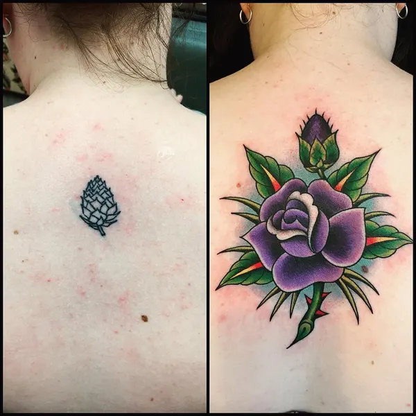 Flower, Rose