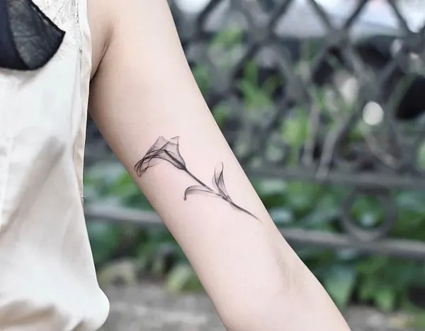창, 바람, Flower, Rose, 활과 화살, 함사, 화살, 미니멀