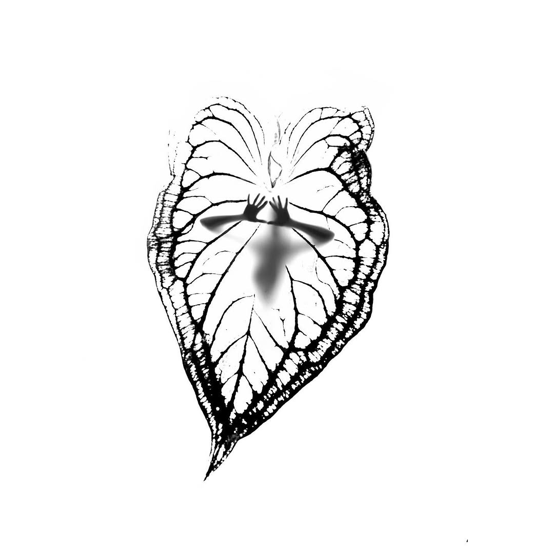 plantsnpokes