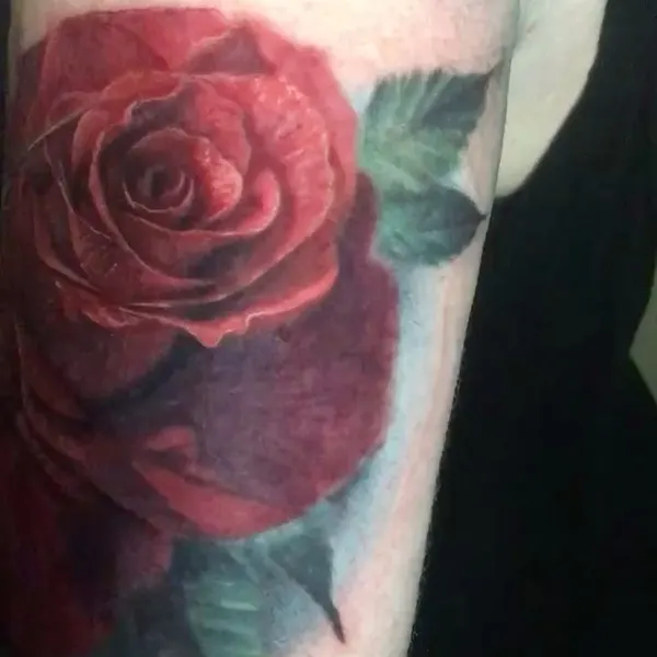 Flower, Rose