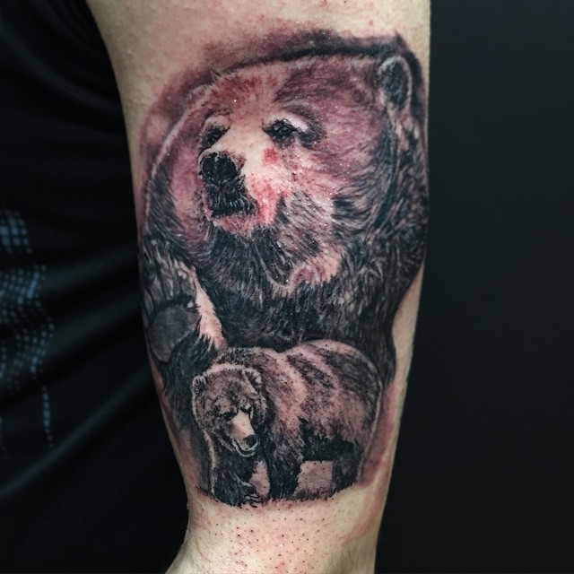Animal