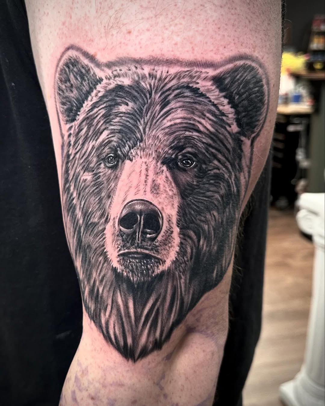 Animal, 곰