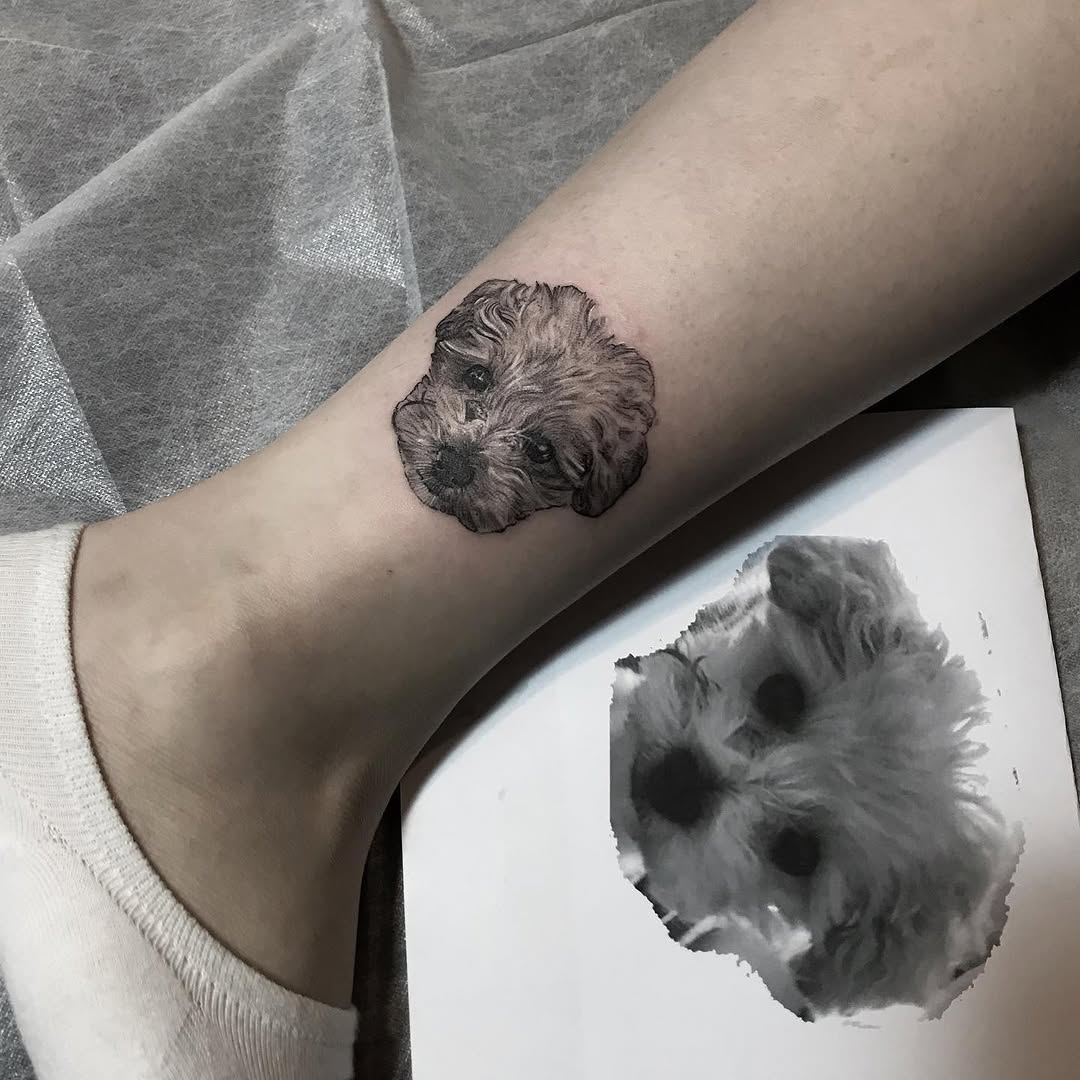 Animal