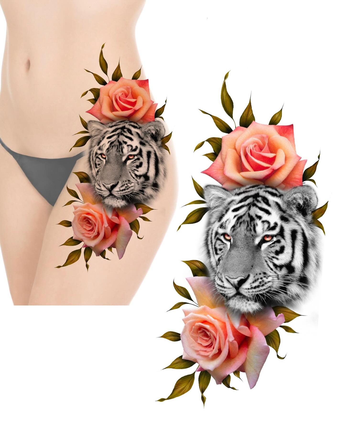 Flower, Rose, Nature