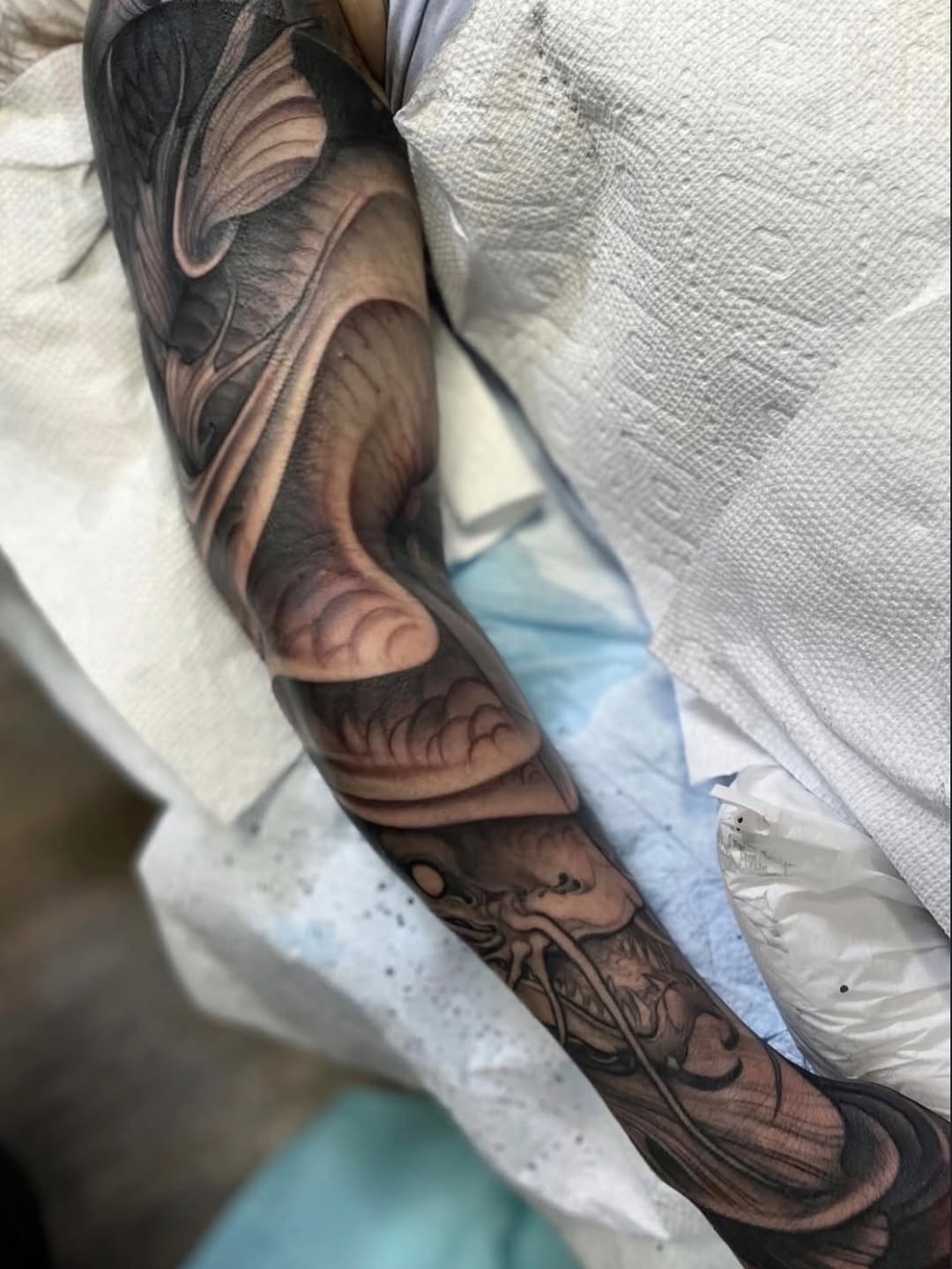 Dragon, Animal