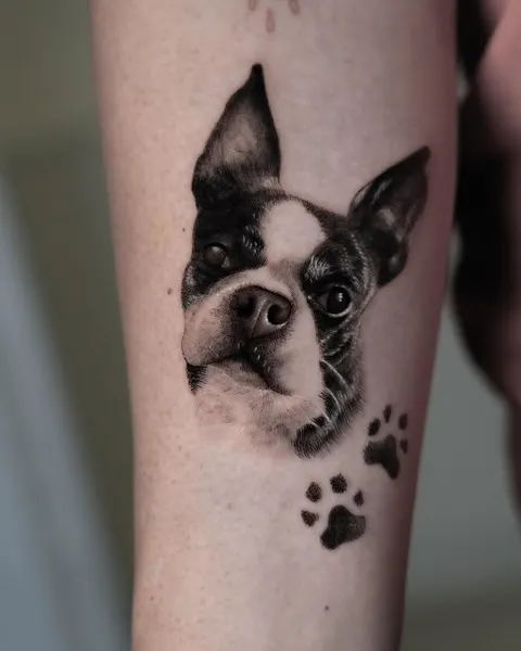 Animal
