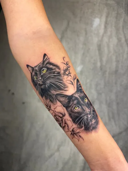 Animal