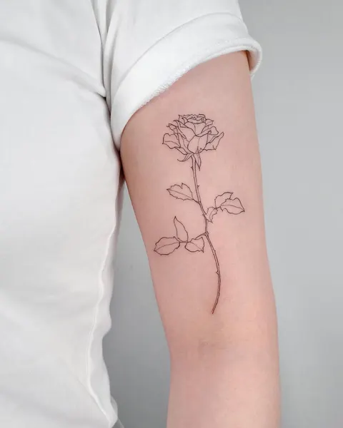 Flower, Rose