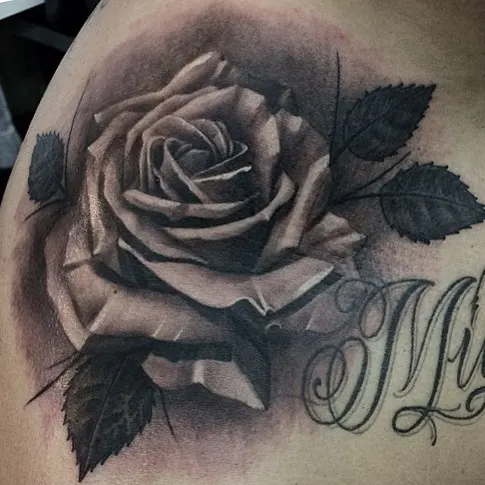 Flower, Rose