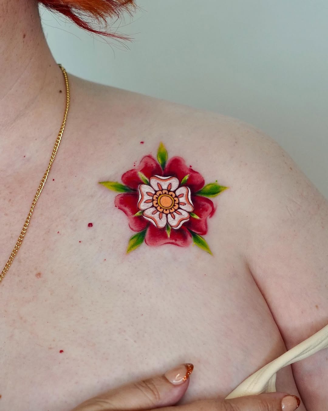 Flower, Rose, Nature